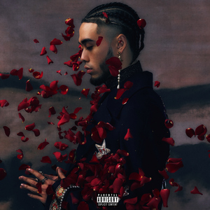 99在线精品视频
